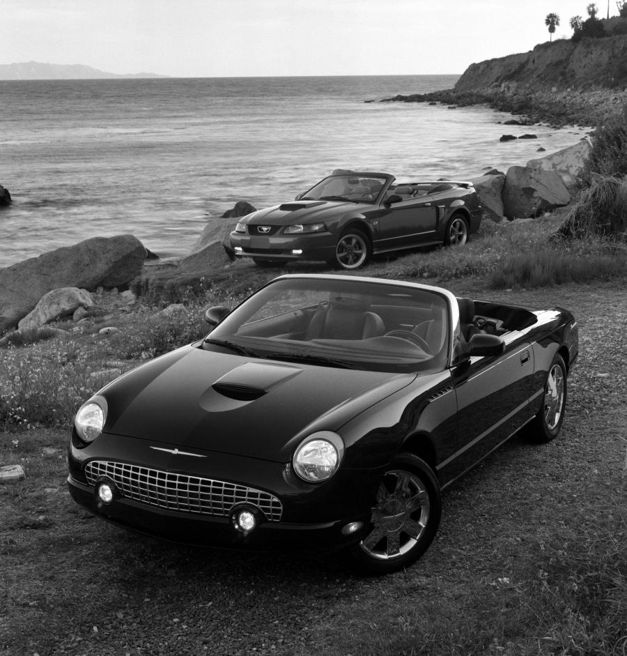  Ford Thunderbird 2002 года  (фото 12 из 161)